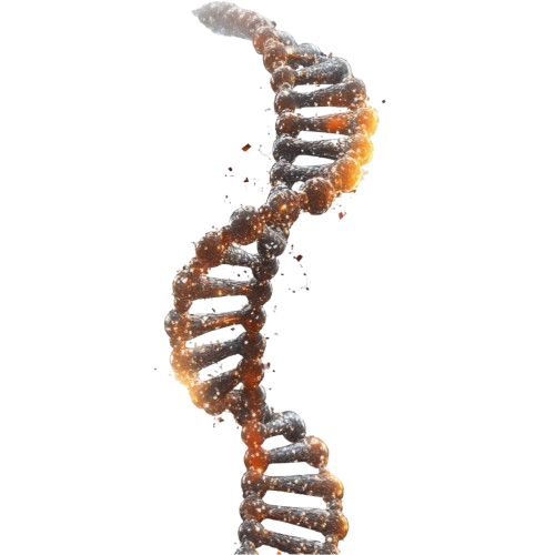 Квантовые вычисления